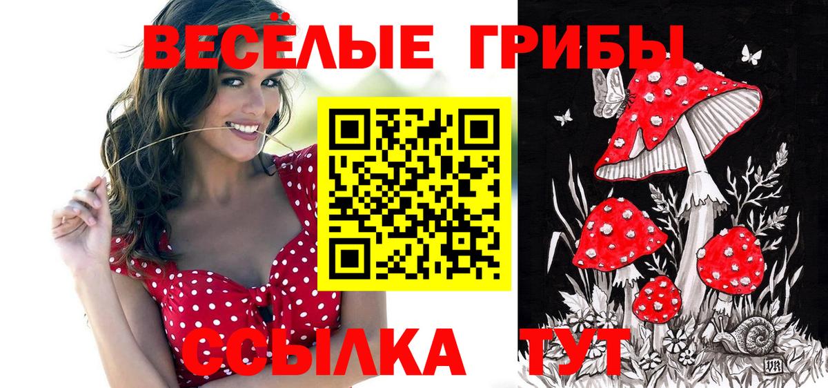 Галлюциногенные грибы Psilocybe Фурманов