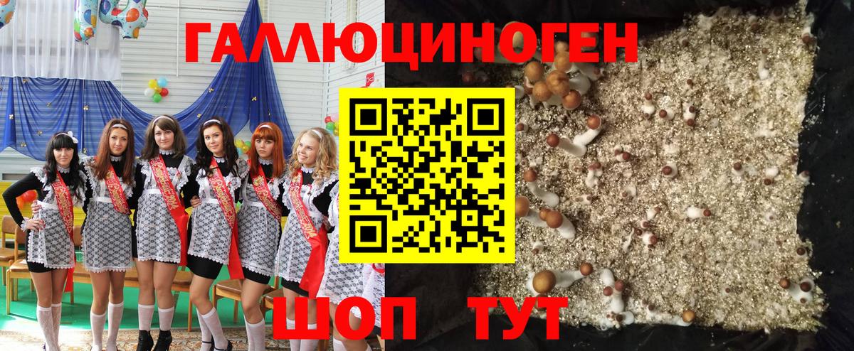 Псилоцибиновые грибы Cubensis  купить наркотики сайты  Фурманов  Вход с VPN 